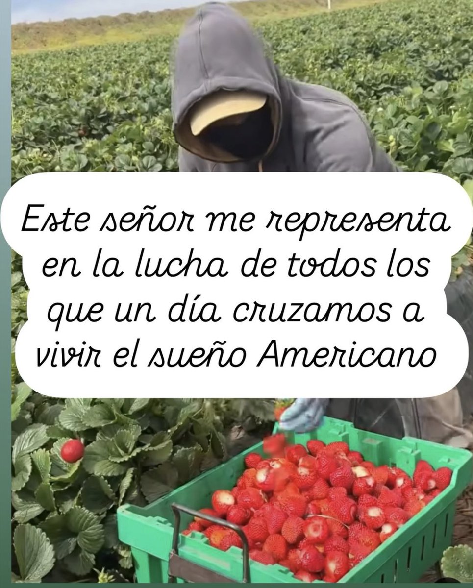 Latinos unidos 🙏🏻🤍
