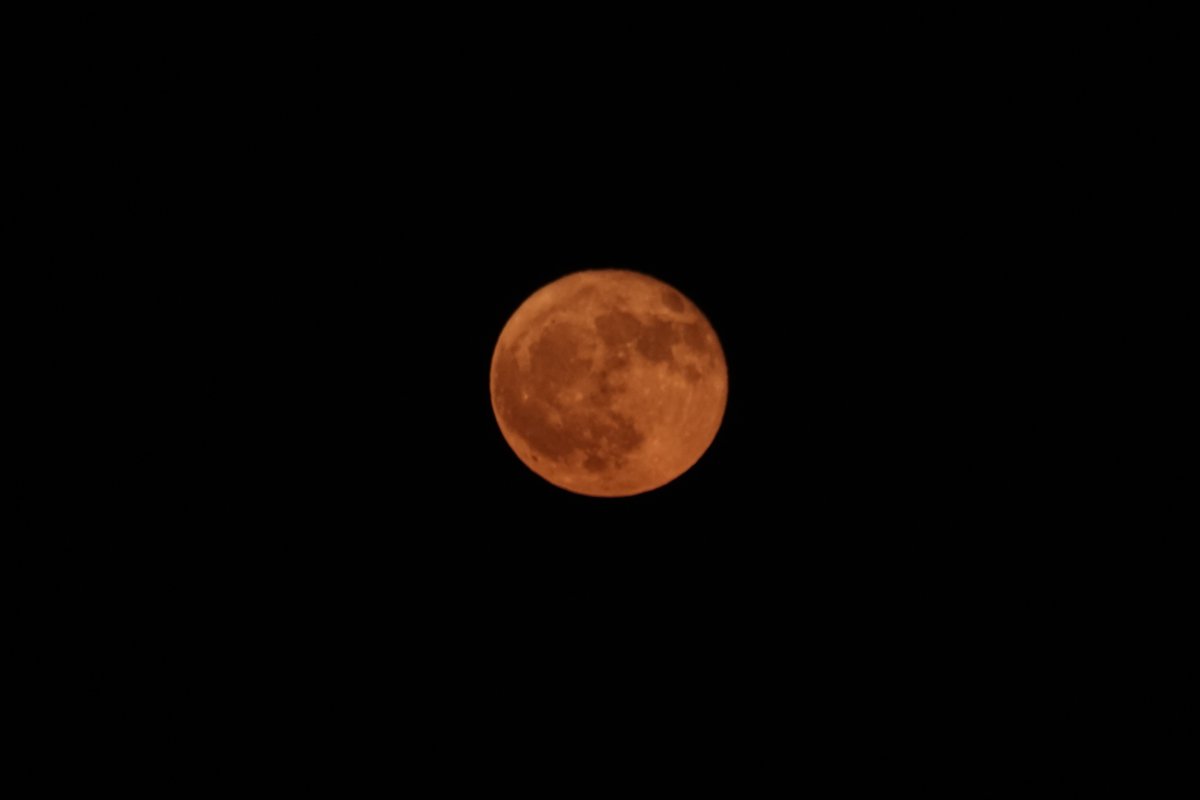 On Wednesday night, June 11, 2025, the #StrawberryMoon appeared over the #Bronx. #fullmoon #NYC