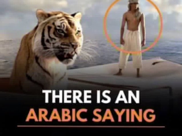 I’ve seen more people using this meme than I’ve ever seen anyone actually talk about life of pi