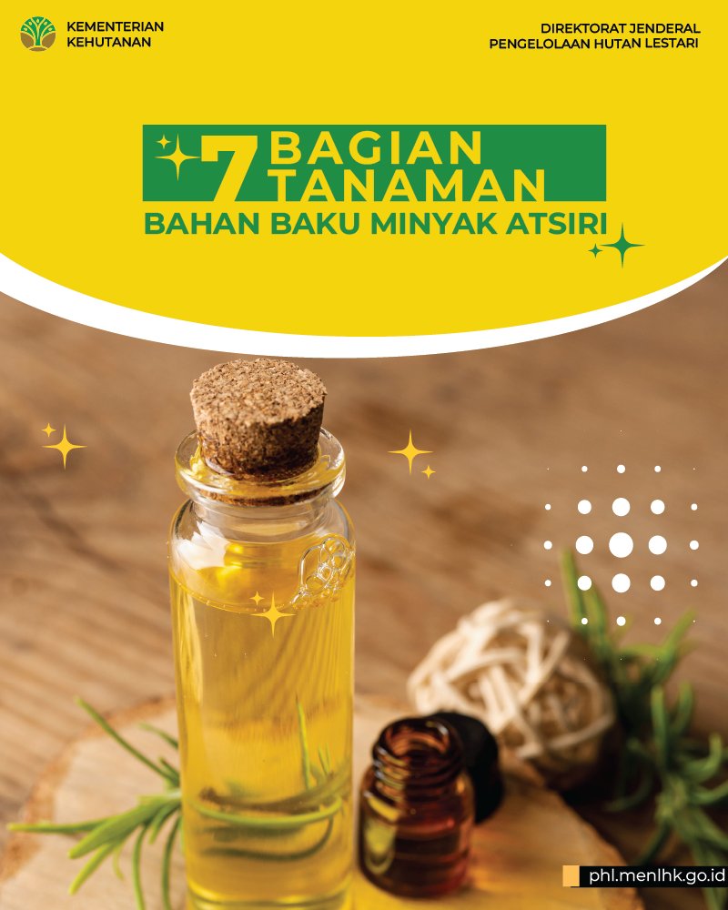 DitjenPHL's tweet photo. Tahukah #SobatRimba? Tidak hanya daun sereh wangi yang dapat menghasilkan minyak atsiri. Apa sajakah bagian-bagian tanaman yang dapat menghasilkan minyak atsiri? Yuk kita simak dalam informasi berikut ini sob !
#HHBK #MinyakAtsiri #SobatRimba #DitjenPHL #Kemenhut #HutanLestari https://t.co/bt3Azc7WVz
