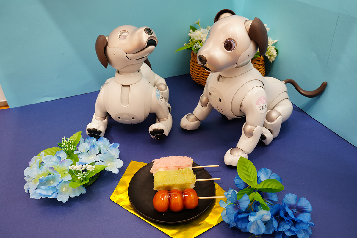 aibo (@aibo_jp) / X