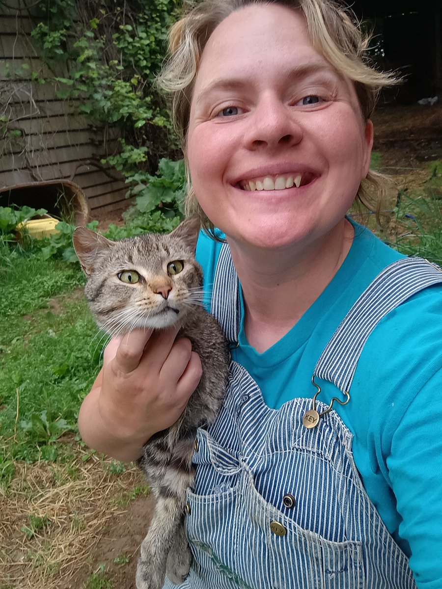 We made a new friend today. This stray tabby (likely a dropoff) has been hanging around our buildings the last few months. Last week we exchanged a few meows, and today he actually came up to me for pets! He probably hasn't had any positive human touch in a very long time. He