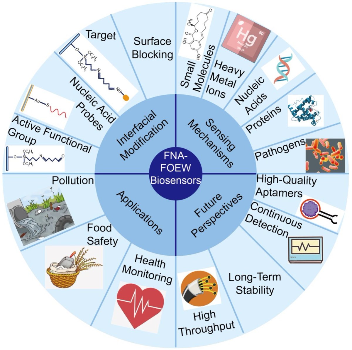 Biosensors_MDPI's tweet image. 📣 Call for Reading:

#Review
Recent Progress in Functional-Nucleic-Acid-Based Fluorescent Fiber-Optic Evanescent Wave Biosensors

by Zheng Wang and Xinhui Lou
mdpi.com/2079-6374/13/4…

#NucleicAcid #aptamer #opticalfiber #DNAzymes
#Fluorescent #biosensors
#OpenAccess #mdpi