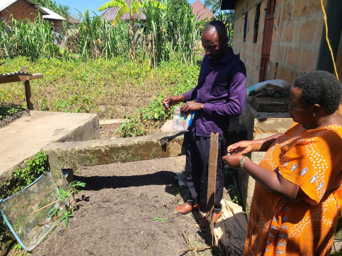 We have established home vegetable gardens for elderly households at Kahororo ward #Bukoba. This initiative aims to promote better nutrition and improved health to elders. We believe that each garden is a step toward ensuring a healthier and more dignified life for our elders.