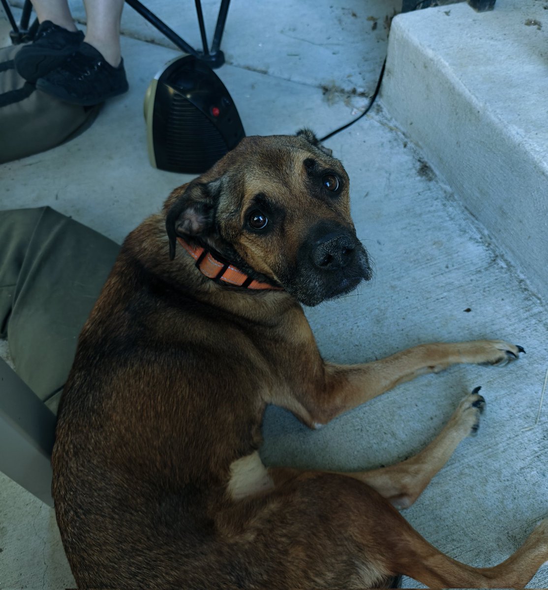 ๐๐๐๐๐๐๐๐๐๐๐ tweet media