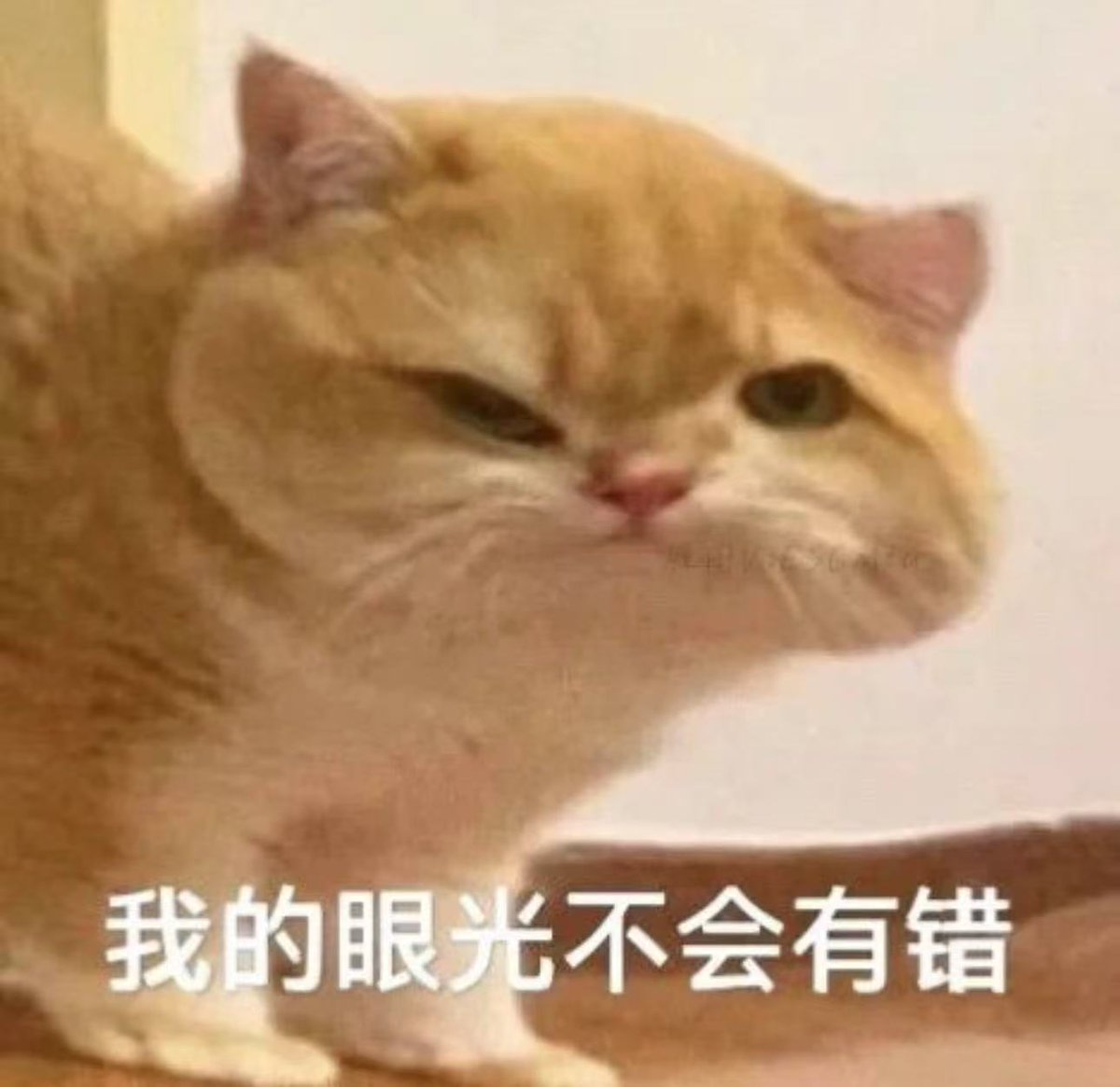 狼崽被封了，我的青春结束了