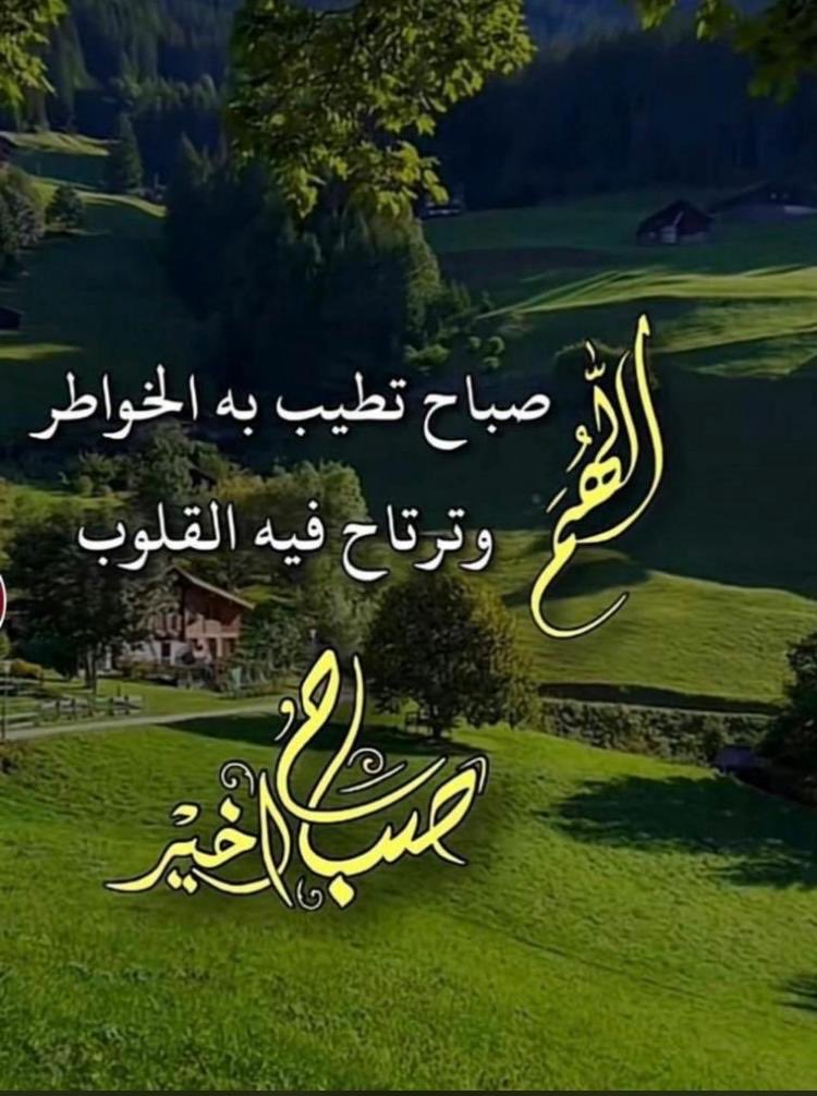 حمود الحازمي tweet media