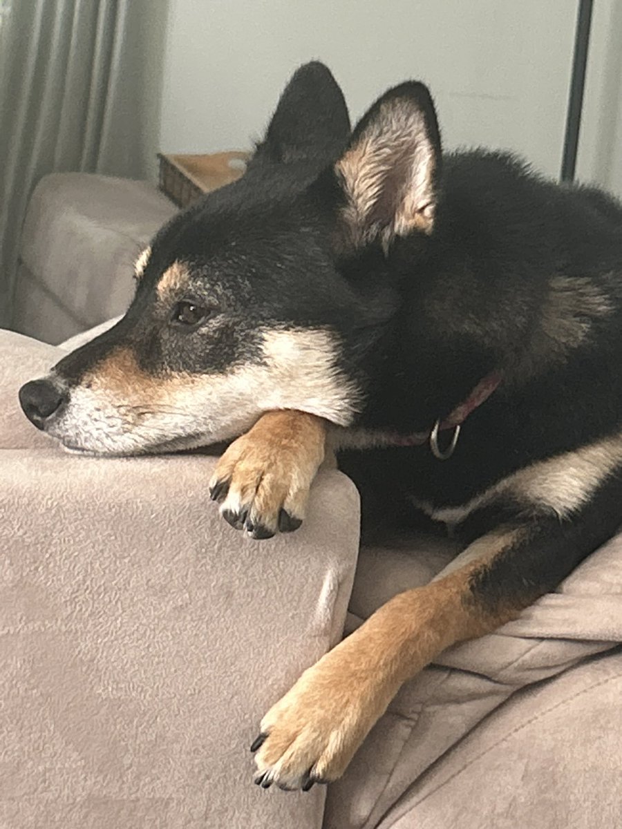 whoringeveryday's tweet image. /) /)
(。•ㅅ•。)〝₎₎ ✦₊ ˊ˗
. .╭∪─∪───────── ✦ ⁺.
. .┊◟﹫ hi my names cleo!
. .┊
. .┊𐐪 16, she/her
. .┊
. .┊𐐪 SHEDTWT!!
. .┊
. .┊⨳゛im fun and interactive trust
. .┊
. .┊◟﹫ more info below..
╰──────────── ✦ ⁺.