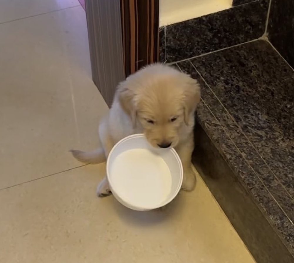 ขอรักใส่ชาม นอย จิ