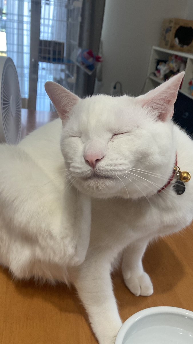 hachi03231's tweet photo. 似てる🥰 https://t.co/z3u9lQYgcA