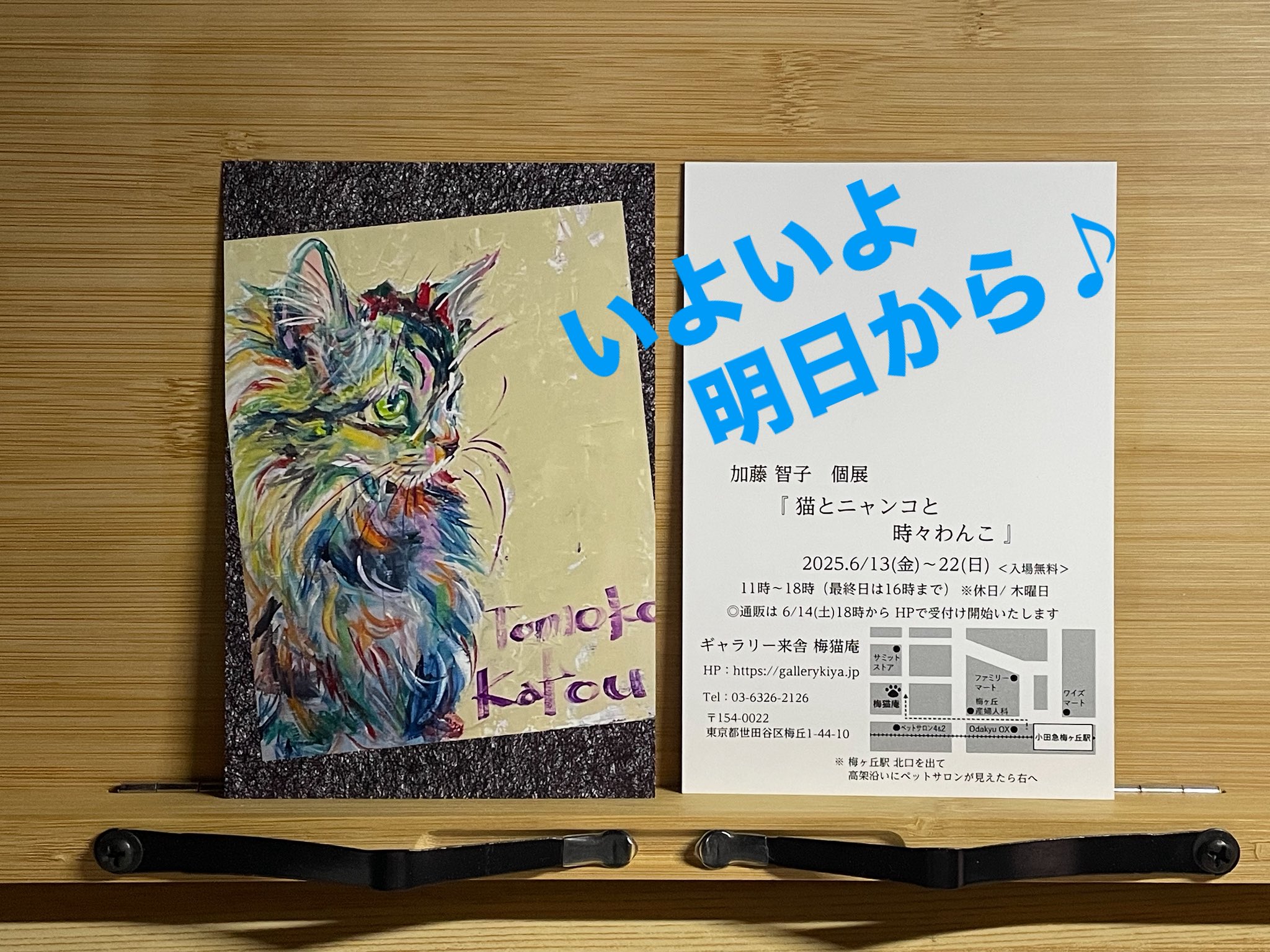 10分だけタイムセール❗️手作り額付き絵画　title「清らかニャンコ」 10分だけタイムセール❗️手作り額付き絵画 title「清らか