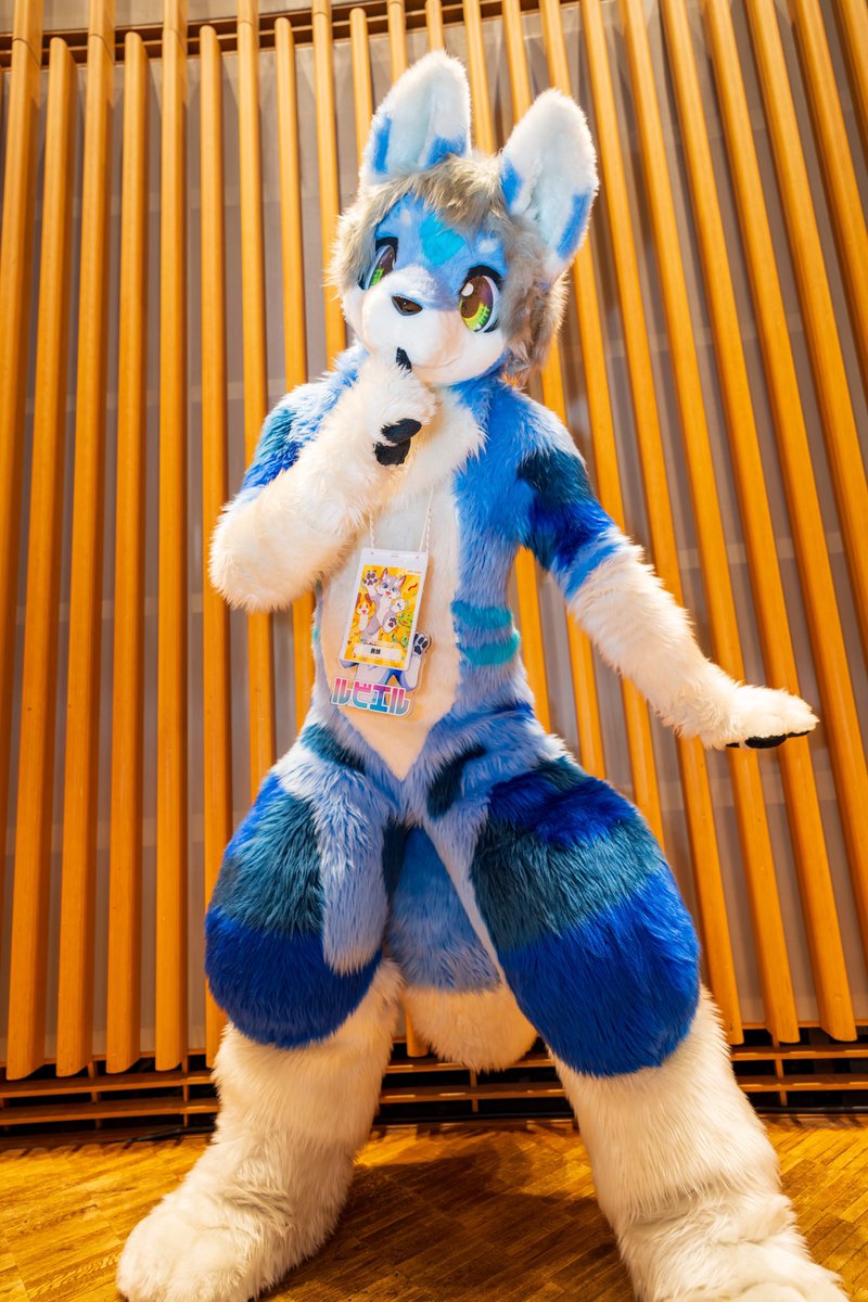 ケモスクの時のルビくん🦊
Photo <a href="/masayanograph/">まさやん</a> 

#ケモスク9
#ケモノスクエア
