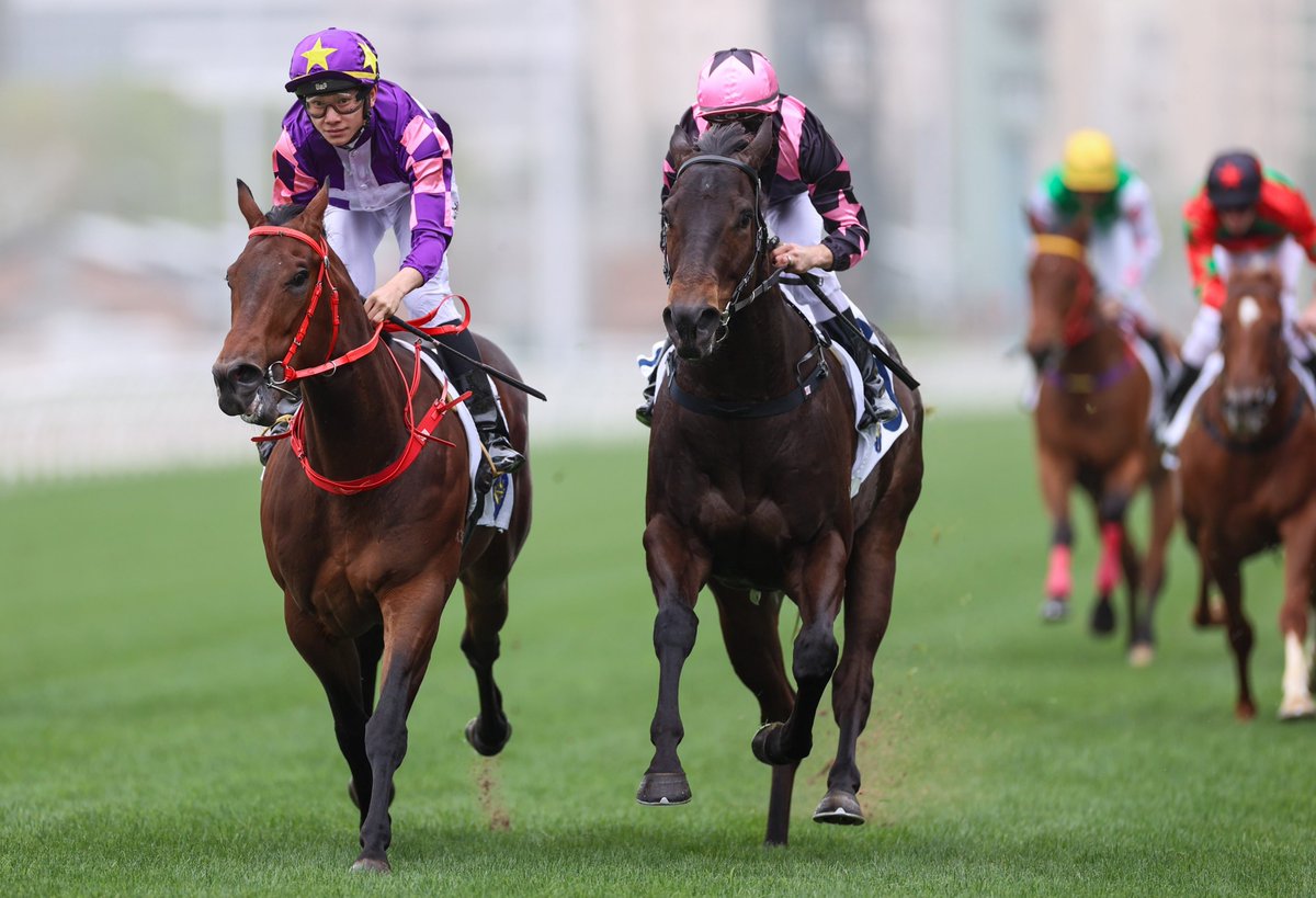 HKJC_Racing's tweet image. Declarations are out for Saturday's (14 June) 11-race fixture at Sha Tin, which commences at 4pm (HKT) with a 1000m sprint race for Griffins. #HKracing 

Race Card 👉 bit.ly/3RhnRN1