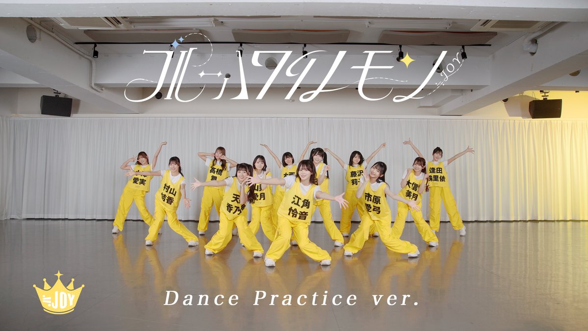 ≒JOY 大西葵 公式ビブス2024 ビッグサイズ ニアジョイ