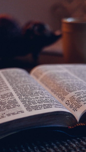 <a href="/LazaroM58946814/">Michael</a> Good morning Michael 🫡 May God's Word be like daily bread to nourish your soul in the morning 🙏🏽 Have a spectacular day ahead brother 😉 Happy Thursday 🤗 May the Lord bless you always 🕊️🙏🏽🕊️