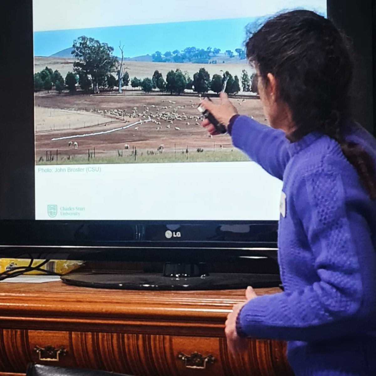 MerinoLink's tweet photo. 👋 We're in Bendigo with producers who've  travelled 2+ hours to share &amp; learn about Confinement Feeding.

HUGE opportunity to tap into known research, a new project &amp; that impt 
👨‍🌾<->👩‍🌾 learning! 

Looking forward to  #Bathurst, #Cumnock &amp; #Uralla.... + online (details soon)! https://t.co/HQcdVKhL7p