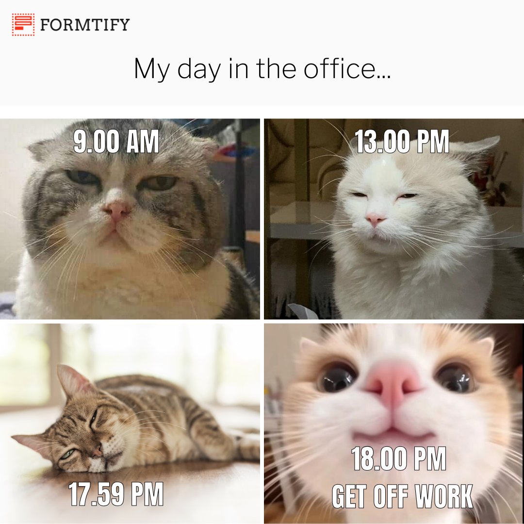 formtify's tweet photo. 9.00 AM: Existing.
13.00 PM: Still existing.
17.59 PM: Spiritually gone.
18.00 PM: ‘YASSS queen, we made it!
😩➡️😵‍💫➡️🫠➡️😼🎉
#CorporateGlowDown #WorkdayMood #MeowgicHour #FromDeadToFab #9toCry #OfficeZombies #LivingFor6PM #SendHelp #Formtify https://t.co/dgRnlNPv8A