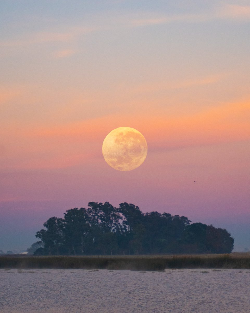 La luna es hermosa 😍