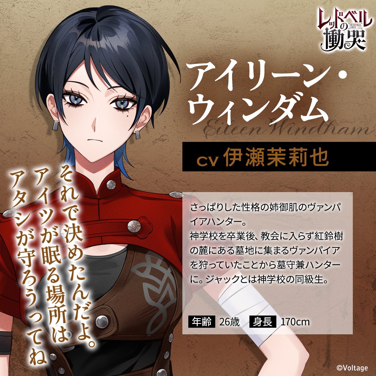 ◥◣6/16まで1⃣0⃣%OFF✨◢◤ 共に戦うヴァンパイアハンターは4人