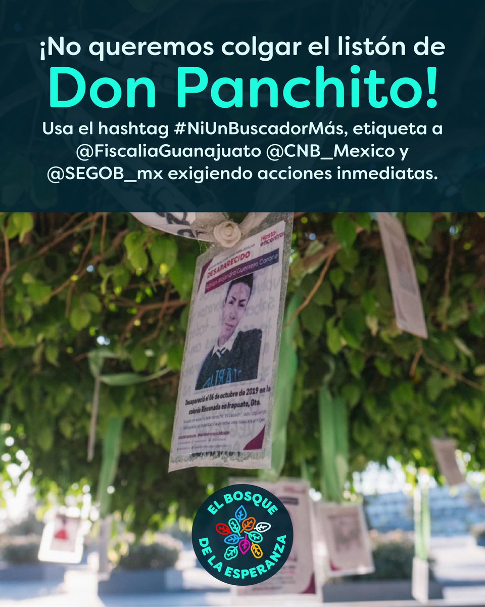 El Bosque de la Esperanza (@elbosque_mx) on Twitter photo 🔴 #Urgente José Francisco “Don Panchito” Arias Mendoza, del colectivo <a href="/HEncontrarte/">Hasta Encontrarte</a> , fue desaparecido el 9 de junio tras el asesinato de su hijo en Irapuato. Su caso evidencia el riesgo extremo que enfrentan las familias buscadoras.
📣 Exige acción: #NiUnBuscadorMás 🔴 #Urgente José Francisco “Don Panchito” Arias Mendoza, del colectivo <a href="/HEncontrarte/">Hasta Encontrarte</a> , fue desaparecido el 9 de junio tras el asesinato de su hijo en Irapuato. Su caso evidencia el riesgo extremo que enfrentan las familias buscadoras.
📣 Exige acción: #NiUnBuscadorMás