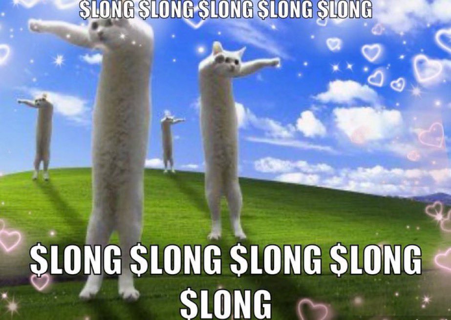 NOBIKO LONG CAT tweet media