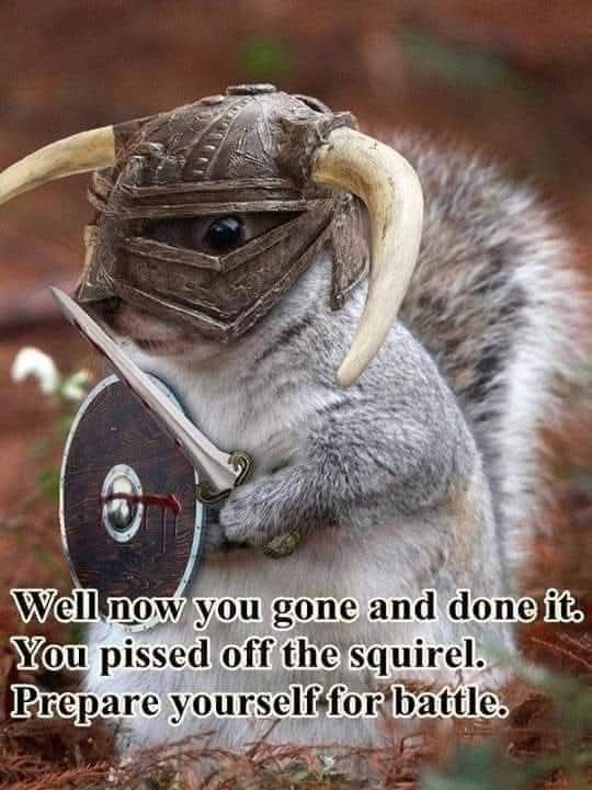 davidtorrey42's tweet photo. @nascarcasm https://t.co/qZZRK51EVb