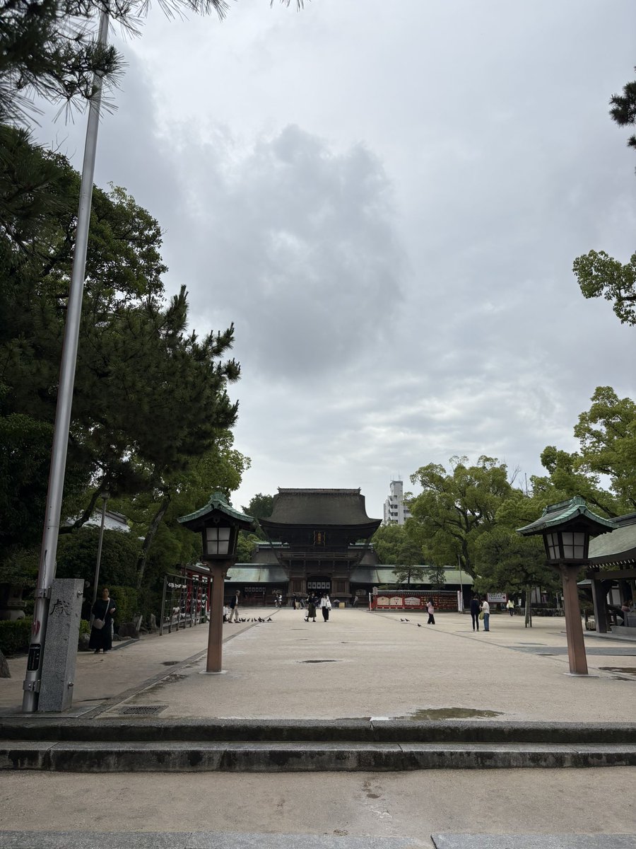 kenchanbob's tweet photo. 筥崎行って、紫陽花見てる https://t.co/N0Gp6kb8wt