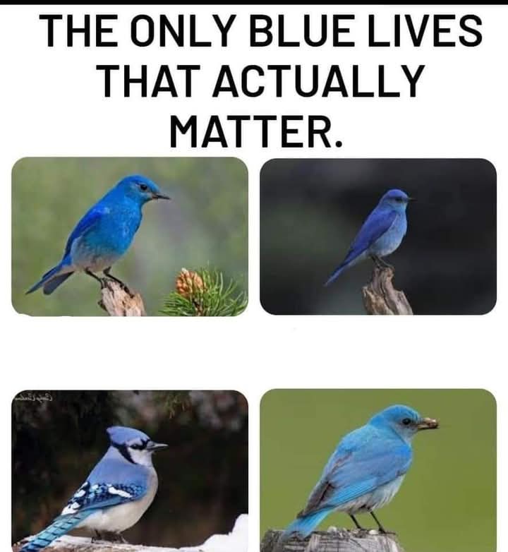 🇰🇵단일성 Commie on the Rez 단일성 🇰🇵 (@patriach2051) on Twitter photo 