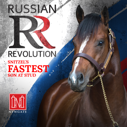 Newgate (@newgatefarm) on Twitter photo Nice winner for RUSSIAN REVOLUTION🔥
HAWKER HALL is tough & makes it 2 wins & 1 placing from 4 starts for the <a href="/Leesracing/">Lees Racing</a> stable💪
The 3YO was purchased by <a href="/bevanbloodstock/">Bevan Smith</a> / <a href="/AWilliamsBldstk/">Andrew Williams</a> from the draft of breeders <a href="/Chinahorseclub/">China Horse Club</a> 🙌
Congratulations to all winning Nice winner for RUSSIAN REVOLUTION🔥
HAWKER HALL is tough & makes it 2 wins & 1 placing from 4 starts for the <a href="/Leesracing/">Lees Racing</a> stable💪
The 3YO was purchased by <a href="/bevanbloodstock/">Bevan Smith</a> / <a href="/AWilliamsBldstk/">Andrew Williams</a> from the draft of breeders <a href="/Chinahorseclub/">China Horse Club</a> 🙌
Congratulations to all winning