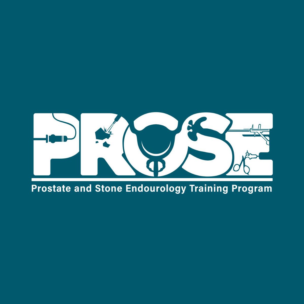 ProseFellowship's tweet image. 📢 The PROSE Fellowship program at @vmmcurology has begun! 

We aim to train fellows in advanced endourological techniques to deliver safe patient-centered and evidence based care for prostate and stone diseases.

Follow for updates, case highlights and training opportunities!