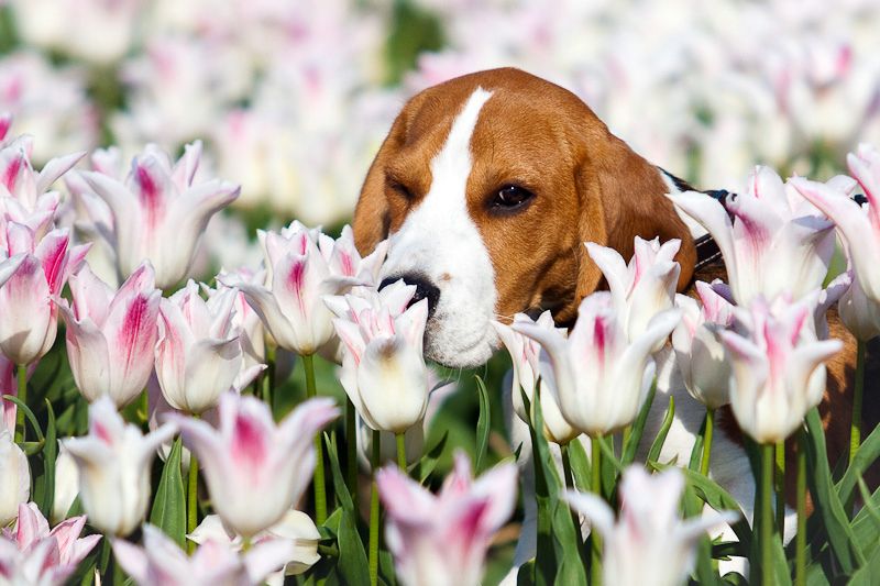 <a href="/Dana__Levina/">💞 Дана Левина 💞</a> <a href="/_NikaSmirnova/">Ника Смирнова 🦋</a> <a href="/_PolinaSavina/">Полина Савина 🧢</a> <a href="/_TatyanaGolub/">Татьяна Голубева 🔥«</a> <a href="/Evelina__Lapina/">Эвелина Лапина</a> <a href="/Mishel_Lebedeva/">Мишель Лебедева</a> <a href="/BogSuvorova/">Богдана Суворова</a> <a href="/Karina__Zimina/">Карина Зимина 🦋</a> <a href="/Mari__Samsonova/">Мария Самсонова 💕</a> <a href="/Dominik_Svetova/">Доминика Светова</a> <a href="/Yuliya_Verina/">Юлия Верина 🍁</a> <a href="/_Anna_Gordeeva/">Анна Гордеева</a> <a href="/Frolova__Nastya/">Анастасия Фролова ✨</a> <a href="/Val_Valereva/">Валентина Валерьева</a> <a href="/Evgen_Safina/">Евгения Сафина</a> <a href="/Alina__Azarova/">Алина Азарова 🔥</a> <a href="/Liza_Vesnina/">Лизавета Веснина</a> <a href="/Sveta_Makeina/">Светлана Макеина</a> <a href="/Kseniya_Aksen/">Ксения Аксенова</a> <a href="/Roza_Rakitina/">Роза Ракитина</a> <a href="/IrishaKoroleva/">Ирина Королева</a> <a href="/_VladaBelova/">Влада Белова</a> <a href="/ya__chara/">Яна</a> <a href="/alberiniks/">Нина Альбертова</a> <a href="/lady__travel/">Нинэлька</a> <a href="/Ansupers/">Анастасия</a> <a href="/Alisa550055/">Алиса</a> <a href="/glamour__fifa/">Нэнси</a> <a href="/santairis_/">Ириска</a> <a href="/polovinkamoya/">Валентина</a> <a href="/niguzan/">Нина</a> <a href="/moyi_angel/">Ангелина</a> <a href="/ledi__briz/">Алина Голубкова</a> <a href="/Irina__Grad/">Ирина Градова</a> <a href="/shelkalina/">Galina Shelest</a> <a href="/leopoldolarag/">Leopoldo Lara</a> <a href="/P_barbaricina/">Patricia ♦️®🇮🇹</a> <a href="/VictoriAGVelan1/">Victoria Guerrero Velandia</a> <a href="/alpost19718/">Istina</a> <a href="/Anatolii70/">.Анатолий70</a> <a href="/Igor55549244/">Igor</a> <a href="/Vladimi94915948/">Vladimir</a> <a href="/math_007tutor/">Цифровой репетитор по математике физике английский</a> <a href="/olv42/">Анна Ильиных</a> <a href="/iO0WDvcSpnyOba5/">Люба</a> <a href="/kathyan72/">Hannah</a> <a href="/saulastam/">Sastam_25</a> <a href="/komaritski/">Slinkin SV</a> <a href="/ViktorMochalin/">mochalin viktor</a> <a href="/MalikaAkram14/">Malika Akram</a>