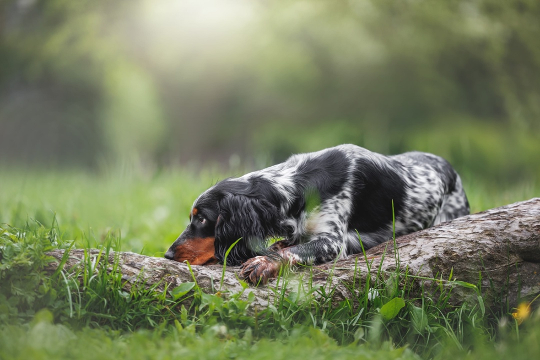 <a href="/Dana__Levina/">💞 Дана Левина 💞</a> <a href="/_NikaSmirnova/">Ника Смирнова 🦋</a> <a href="/_PolinaSavina/">Полина Савина 🧢</a> <a href="/_TatyanaGolub/">Татьяна Голубева 🔥«</a> <a href="/Evelina__Lapina/">Эвелина Лапина</a> <a href="/Mishel_Lebedeva/">Мишель Лебедева</a> <a href="/BogSuvorova/">Богдана Суворова</a> <a href="/Karina__Zimina/">Карина Зимина 🦋</a> <a href="/Mari__Samsonova/">Мария Самсонова 💕</a> <a href="/Dominik_Svetova/">Доминика Светова</a> <a href="/Yuliya_Verina/">Юлия Верина 🍁</a> <a href="/_Anna_Gordeeva/">Анна Гордеева</a> <a href="/Frolova__Nastya/">Анастасия Фролова ✨</a> <a href="/Val_Valereva/">Валентина Валерьева</a> <a href="/Evgen_Safina/">Евгения Сафина</a> <a href="/Alina__Azarova/">Алина Азарова 🔥</a> <a href="/Liza_Vesnina/">Лизавета Веснина</a> <a href="/Sveta_Makeina/">Светлана Макеина</a> <a href="/Kseniya_Aksen/">Ксения Аксенова</a> <a href="/Roza_Rakitina/">Роза Ракитина</a> <a href="/IrishaKoroleva/">Ирина Королева</a> <a href="/_VladaBelova/">Влада Белова</a> <a href="/ya__chara/">Яна</a> <a href="/alberiniks/">Нина Альбертова</a> <a href="/lady__travel/">Нинэлька</a> <a href="/Ansupers/">Анастасия</a> <a href="/Alisa550055/">Алиса</a> <a href="/glamour__fifa/">Нэнси</a> <a href="/santairis_/">Ириска</a> <a href="/polovinkamoya/">Валентина</a> <a href="/niguzan/">Нина</a> <a href="/moyi_angel/">Ангелина</a> <a href="/ledi__briz/">Алина Голубкова</a> <a href="/Irina__Grad/">Ирина Градова</a> <a href="/shelkalina/">Galina Shelest</a> <a href="/leopoldolarag/">Leopoldo Lara</a> <a href="/P_barbaricina/">Patricia ♦️®🇮🇹</a> <a href="/VictoriAGVelan1/">Victoria Guerrero Velandia</a> <a href="/alpost19718/">Istina</a> <a href="/Anatolii70/">.Анатолий70</a> <a href="/Igor55549244/">Igor</a> <a href="/Vladimi94915948/">Vladimir</a> <a href="/math_007tutor/">Цифровой репетитор по математике физике английский</a> <a href="/olv42/">Анна Ильиных</a> <a href="/iO0WDvcSpnyOba5/">Люба</a> <a href="/kathyan72/">Hannah</a> <a href="/saulastam/">Sastam_25</a> <a href="/komaritski/">Slinkin SV</a> <a href="/ViktorMochalin/">mochalin viktor</a> <a href="/MalikaAkram14/">Malika Akram</a>