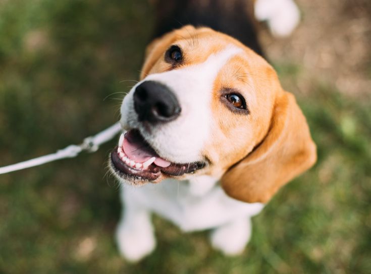 <a href="/Dana__Levina/">💞 Дана Левина 💞</a> <a href="/_NikaSmirnova/">Ника Смирнова 🦋</a> <a href="/_PolinaSavina/">Полина Савина 🧢</a> <a href="/_TatyanaGolub/">Татьяна Голубева 🔥«</a> <a href="/Evelina__Lapina/">Эвелина Лапина</a> <a href="/Mishel_Lebedeva/">Мишель Лебедева</a> <a href="/BogSuvorova/">Богдана Суворова</a> <a href="/Karina__Zimina/">Карина Зимина 🦋</a> <a href="/Mari__Samsonova/">Мария Самсонова 💕</a> <a href="/Dominik_Svetova/">Доминика Светова</a> <a href="/Yuliya_Verina/">Юлия Верина 🍁</a> <a href="/_Anna_Gordeeva/">Анна Гордеева</a> <a href="/Frolova__Nastya/">Анастасия Фролова ✨</a> <a href="/Val_Valereva/">Валентина Валерьева</a> <a href="/Evgen_Safina/">Евгения Сафина</a> <a href="/Alina__Azarova/">Алина Азарова 🔥</a> <a href="/Liza_Vesnina/">Лизавета Веснина</a> <a href="/Sveta_Makeina/">Светлана Макеина</a> <a href="/Kseniya_Aksen/">Ксения Аксенова</a> <a href="/Roza_Rakitina/">Роза Ракитина</a> <a href="/IrishaKoroleva/">Ирина Королева</a> <a href="/_VladaBelova/">Влада Белова</a> <a href="/ya__chara/">Яна</a> <a href="/alberiniks/">Нина Альбертова</a> <a href="/lady__travel/">Нинэлька</a> <a href="/Ansupers/">Анастасия</a> <a href="/Alisa550055/">Алиса</a> <a href="/glamour__fifa/">Нэнси</a> <a href="/santairis_/">Ириска</a> <a href="/polovinkamoya/">Валентина</a> <a href="/niguzan/">Нина</a> <a href="/moyi_angel/">Ангелина</a> <a href="/ledi__briz/">Алина Голубкова</a> <a href="/Irina__Grad/">Ирина Градова</a> <a href="/shelkalina/">Galina Shelest</a> <a href="/leopoldolarag/">Leopoldo Lara</a> <a href="/P_barbaricina/">Patricia ♦️®🇮🇹</a> <a href="/VictoriAGVelan1/">Victoria Guerrero Velandia</a> <a href="/alpost19718/">Istina</a> <a href="/Anatolii70/">.Анатолий70</a> <a href="/Igor55549244/">Igor</a> <a href="/Vladimi94915948/">Vladimir</a> <a href="/math_007tutor/">Цифровой репетитор по математике физике английский</a> <a href="/olv42/">Анна Ильиных</a> <a href="/iO0WDvcSpnyOba5/">Люба</a> <a href="/kathyan72/">Hannah</a> <a href="/saulastam/">Sastam_25</a> <a href="/komaritski/">Slinkin SV</a> <a href="/ViktorMochalin/">mochalin viktor</a> <a href="/MalikaAkram14/">Malika Akram</a>