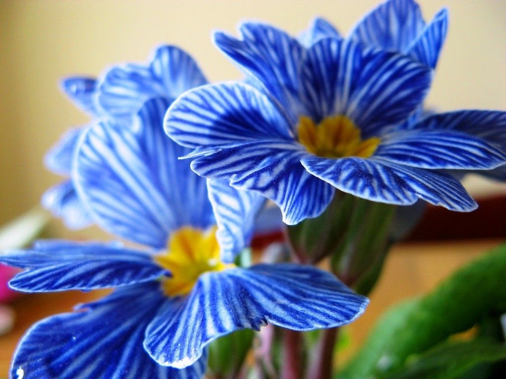 Анна Гордеева (@_anna_gordeeva) on Twitter photo <a href="/Yuliya_Verina/">Юлия Верина 🍁</a> <a href="/Dominik_Svetova/">Доминика Светова</a> <a href="/Mari__Samsonova/">Мария Самсонова 💕</a> <a href="/_Nata_Sokol/">Наталья Соколова </a> <a href="/_Mila_Romanova/">Мила Романова 🔙</a> <a href="/_VitaKnyazeva/">Виталия Князева</a> <a href="/Lara_Smurova/">Лариса Смурова 🚀</a> <a href="/Alisiya_Pankova/">Алисия Панкова 💥«</a> <a href="/Dana__Levina/">💞 Дана Левина 💞</a> <a href="/_NikaSmirnova/">Ника Смирнова 🦋</a> <a href="/_PolinaSavina/">Полина Савина 🧢</a> <a href="/_TatyanaGolub/">Татьяна Голубева 🔥«</a> <a href="/Evelina__Lapina/">Эвелина Лапина</a> <a href="/Mishel_Lebedeva/">Мишель Лебедева</a> <a href="/BogSuvorova/">Богдана Суворова</a> <a href="/Karina__Zimina/">Карина Зимина 🦋</a> <a href="/Frolova__Nastya/">Анастасия Фролова ✨</a> <a href="/Val_Valereva/">Валентина Валерьева</a> <a href="/Evgen_Safina/">Евгения Сафина</a> <a href="/Alina__Azarova/">Алина Азарова 🔥</a> <a href="/Liza_Vesnina/">Лизавета Веснина</a> <a href="/Sveta_Makeina/">Светлана Макеина</a> <a href="/Kseniya_Aksen/">Ксения Аксенова</a> <a href="/_OksanaFirsova/">Оксана Фирсова</a> <a href="/Roza_Rakitina/">Роза Ракитина</a> <a href="/IrishaKoroleva/">Ирина Королева</a> <a href="/_VladaBelova/">Влада Белова</a> <a href="/ya__chara/">Яна</a> <a href="/alberiniks/">Нина Альбертова</a> <a href="/lady__travel/">Нинэлька</a> <a href="/Ansupers/">Анастасия</a> <a href="/Alisa550055/">Алиса</a> <a href="/glamour__fifa/">Нэнси</a> <a href="/santairis_/">Ириска</a> <a href="/polovinkamoya/">Валентина</a> <a href="/niguzan/">Нина</a> <a href="/moyi_angel/">Ангелина</a> <a href="/ledi__briz/">Алина Голубкова</a> <a href="/Irina__Grad/">Ирина Градова</a> <a href="/shelkalina/">Galina Shelest</a> <a href="/leopoldolarag/">Leopoldo Lara</a> <a href="/P_barbaricina/">Patricia ♦️®🇮🇹</a> <a href="/VictoriAGVelan1/">Victoria Guerrero Velandia</a> <a href="/alpost19718/">Istina</a> <a href="/Anatolii70/">.Анатолий70</a> <a href="/Igor55549244/">Igor</a> <a href="/Vladimi94915948/">Vladimir</a> <a href="/math_007tutor/">Цифровой репетитор по математике физике английский</a> <a href="/olv42/">Анна Ильиных</a> <a href="/iO0WDvcSpnyOba5/">Люба</a> <a href="/Yuliya_Verina/">Юлия Верина 🍁</a> <a href="/Dominik_Svetova/">Доминика Светова</a> <a href="/Mari__Samsonova/">Мария Самсонова 💕</a> <a href="/_Nata_Sokol/">Наталья Соколова </a> <a href="/_Mila_Romanova/">Мила Романова 🔙</a> <a href="/_VitaKnyazeva/">Виталия Князева</a> <a href="/Lara_Smurova/">Лариса Смурова 🚀</a> <a href="/Alisiya_Pankova/">Алисия Панкова 💥«</a> <a href="/Dana__Levina/">💞 Дана Левина 💞</a> <a href="/_NikaSmirnova/">Ника Смирнова 🦋</a> <a href="/_PolinaSavina/">Полина Савина 🧢</a> <a href="/_TatyanaGolub/">Татьяна Голубева 🔥«</a> <a href="/Evelina__Lapina/">Эвелина Лапина</a> <a href="/Mishel_Lebedeva/">Мишель Лебедева</a> <a href="/BogSuvorova/">Богдана Суворова</a> <a href="/Karina__Zimina/">Карина Зимина 🦋</a> <a href="/Frolova__Nastya/">Анастасия Фролова ✨</a> <a href="/Val_Valereva/">Валентина Валерьева</a> <a href="/Evgen_Safina/">Евгения Сафина</a> <a href="/Alina__Azarova/">Алина Азарова 🔥</a> <a href="/Liza_Vesnina/">Лизавета Веснина</a> <a href="/Sveta_Makeina/">Светлана Макеина</a> <a href="/Kseniya_Aksen/">Ксения Аксенова</a> <a href="/_OksanaFirsova/">Оксана Фирсова</a> <a href="/Roza_Rakitina/">Роза Ракитина</a> <a href="/IrishaKoroleva/">Ирина Королева</a> <a href="/_VladaBelova/">Влада Белова</a> <a href="/ya__chara/">Яна</a> <a href="/alberiniks/">Нина Альбертова</a> <a href="/lady__travel/">Нинэлька</a> <a href="/Ansupers/">Анастасия</a> <a href="/Alisa550055/">Алиса</a> <a href="/glamour__fifa/">Нэнси</a> <a href="/santairis_/">Ириска</a> <a href="/polovinkamoya/">Валентина</a> <a href="/niguzan/">Нина</a> <a href="/moyi_angel/">Ангелина</a> <a href="/ledi__briz/">Алина Голубкова</a> <a href="/Irina__Grad/">Ирина Градова</a> <a href="/shelkalina/">Galina Shelest</a> <a href="/leopoldolarag/">Leopoldo Lara</a> <a href="/P_barbaricina/">Patricia ♦️®🇮🇹</a> <a href="/VictoriAGVelan1/">Victoria Guerrero Velandia</a> <a href="/alpost19718/">Istina</a> <a href="/Anatolii70/">.Анатолий70</a> <a href="/Igor55549244/">Igor</a> <a href="/Vladimi94915948/">Vladimir</a> <a href="/math_007tutor/">Цифровой репетитор по математике физике английский</a> <a href="/olv42/">Анна Ильиных</a> <a href="/iO0WDvcSpnyOba5/">Люба</a>