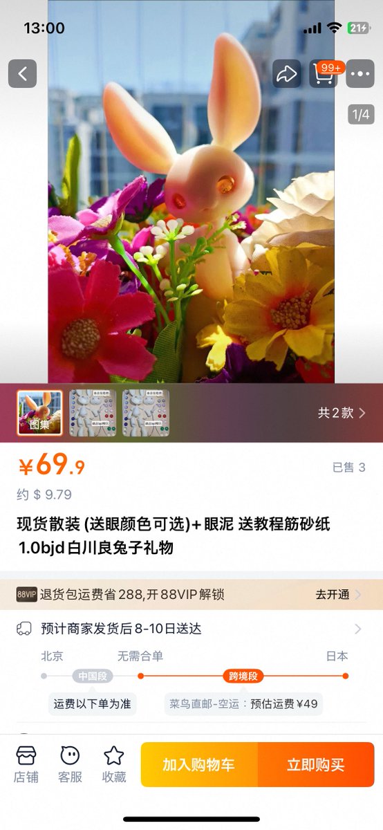 りん 一週間以上たってる場合即購入❌ 楽天市場】【エントリーでP5倍！マラソン期間中限定】クーラーO