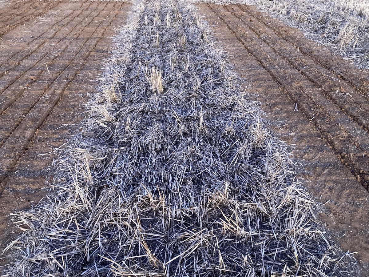 Colin McMaster tweet media