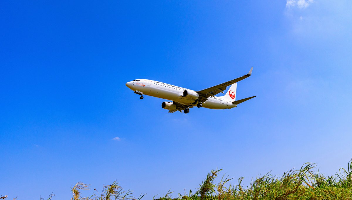 ✼••┈┈┈••✼••┈┈••✼

キャリア採用　募集中

✼••┈┈┈••✼••┈┈••✼

✈️募集職種
・業務企画職（技術系）

📝応募資格
・フルフライトシミュレーターの
　整備経験が2年以上ある方

🗓️応募締切
・2025年6月30日(月)17:00まで

jta-okinawa.com/recruit/joblis…