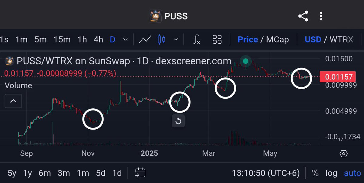 Not once - $PUSS bounced back several times!
Every dip was met with a stronger comeback, proving the unshakable strength of its community.
