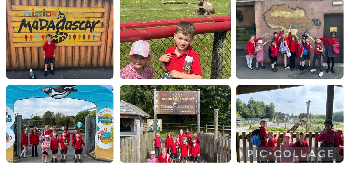 Ysgol Arberth (@narberthschool) on Twitter photo We had a fantastic day at @FollyFarm yesterday β thank you to the <a href="/Rotary/">Rotary International</a> for making it possible! A day full of fun, smiles, and wonderful memories. βοΈ π¦ π’πΎ We had a fantastic day at @FollyFarm yesterday β thank you to the <a href="/Rotary/">Rotary International</a> for making it possible! A day full of fun, smiles, and wonderful memories. βοΈ π¦ π’πΎ