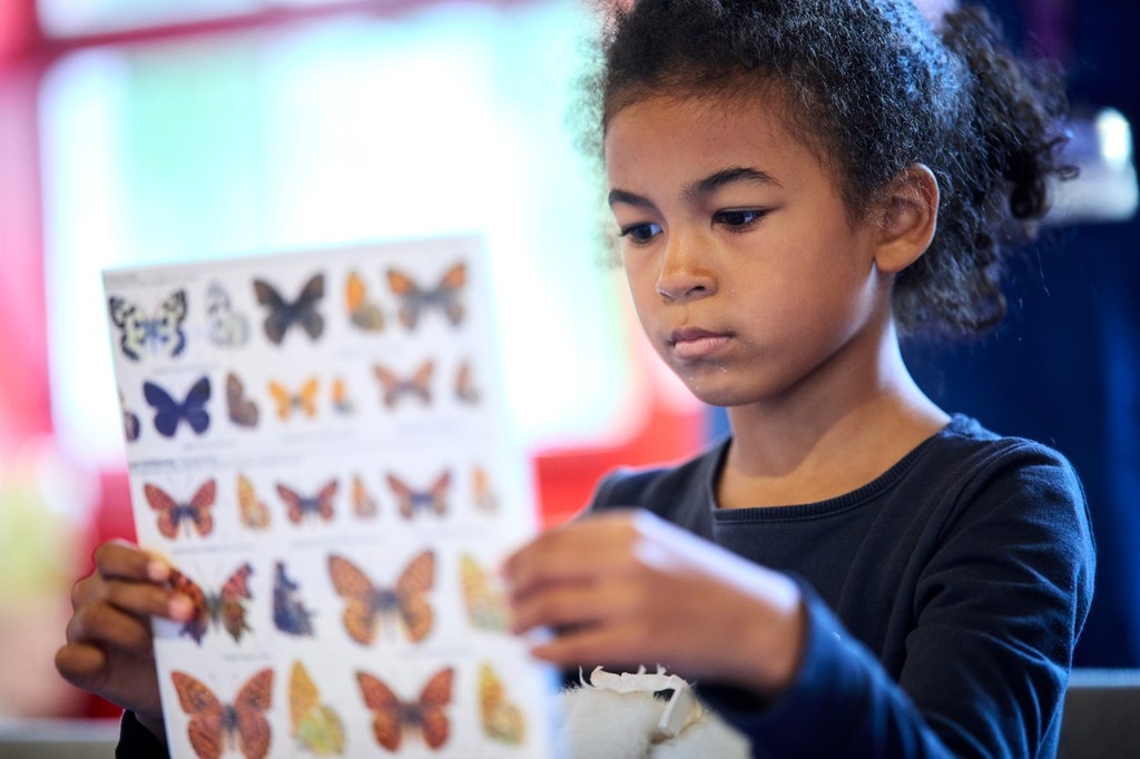 We're thrilled to announce a transformative £1.5M grant from the @‌JuliaRTrust to expand the #SummerReadingChallenge!

This support will help us reach an extra 375,000 children and families by 2027. Reading changes lives – and this makes it possible.

👉️ readingagency.org.uk/1-5-million-gi…