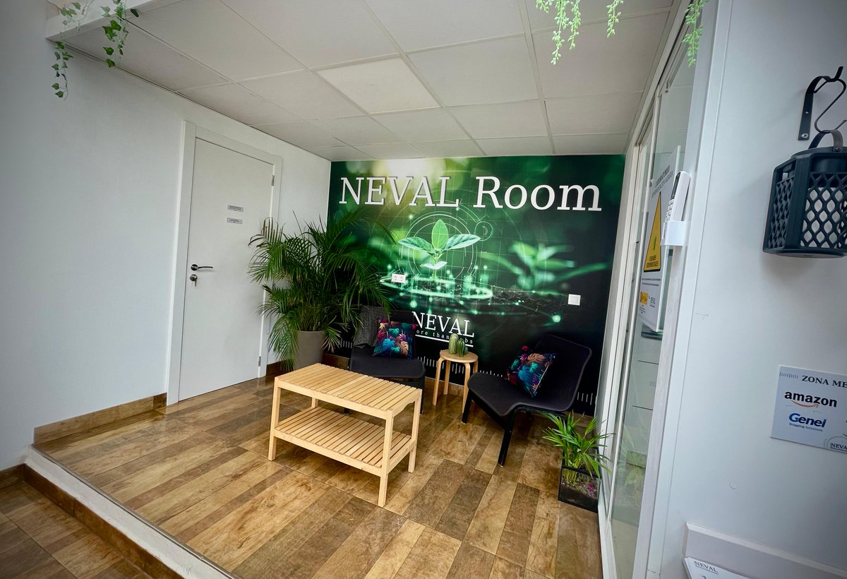 NEVAL tweet media