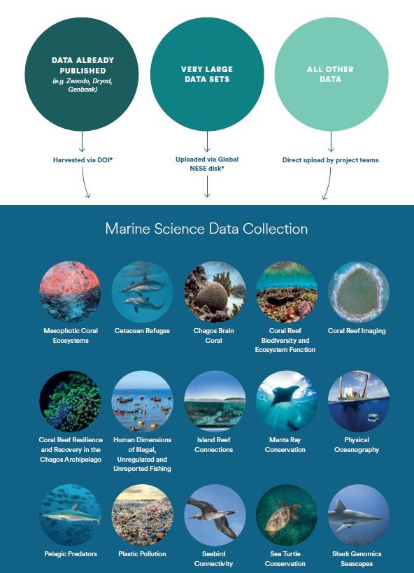 Our Programme seeks to maximise the visibility, accessibility &amp; useability of all data collected by our project teams. We have partnered with the Harvard Data Repository to create a data collection to store &amp; manage large quantities of data of all kinds.

dataverse.harvard.edu/dataverse/bert…