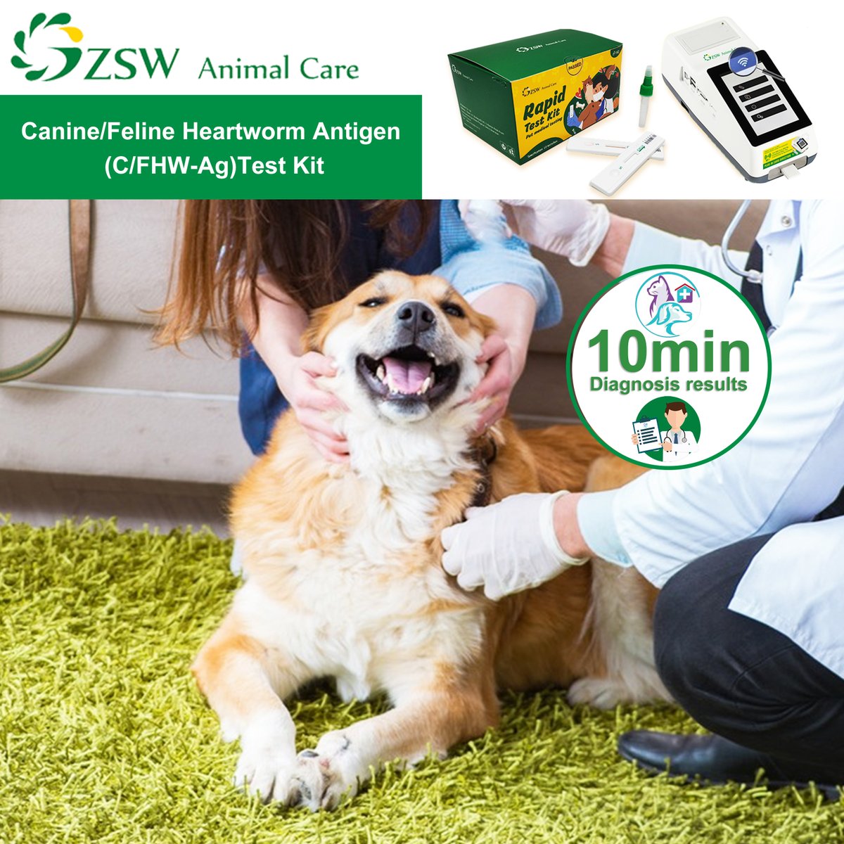 BiotechJz82014's tweet image. As we head into the "dog days" of summer, there's nothing better than healthy, heartworm-free dogs.
Canine/Feline Heartworm Antigen （C/FHW-Ag） Test Kit
 #chw #fhw #vet #petmedical #petdiagnosis