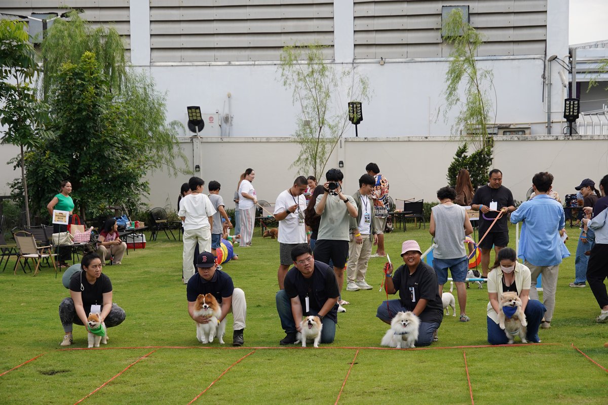 SuccessChTv's tweet photo. อิมแพ็คฯ ชวนน้องหมาแข่งกีฬาสีปลดปล่อยพลัง กับ 6 กิจกรรมบำบัด เพราะความเครียดไม่ใช่เรื่องไกลตัว
https://t.co/he0Ugam91f
#ThailandInternationalDogShow2025
#DogShow2025
#IMPACTDogShow2025
#DogEvent
#Dogvengers
#Dogventure https://t.co/TPNc5hYHRH
