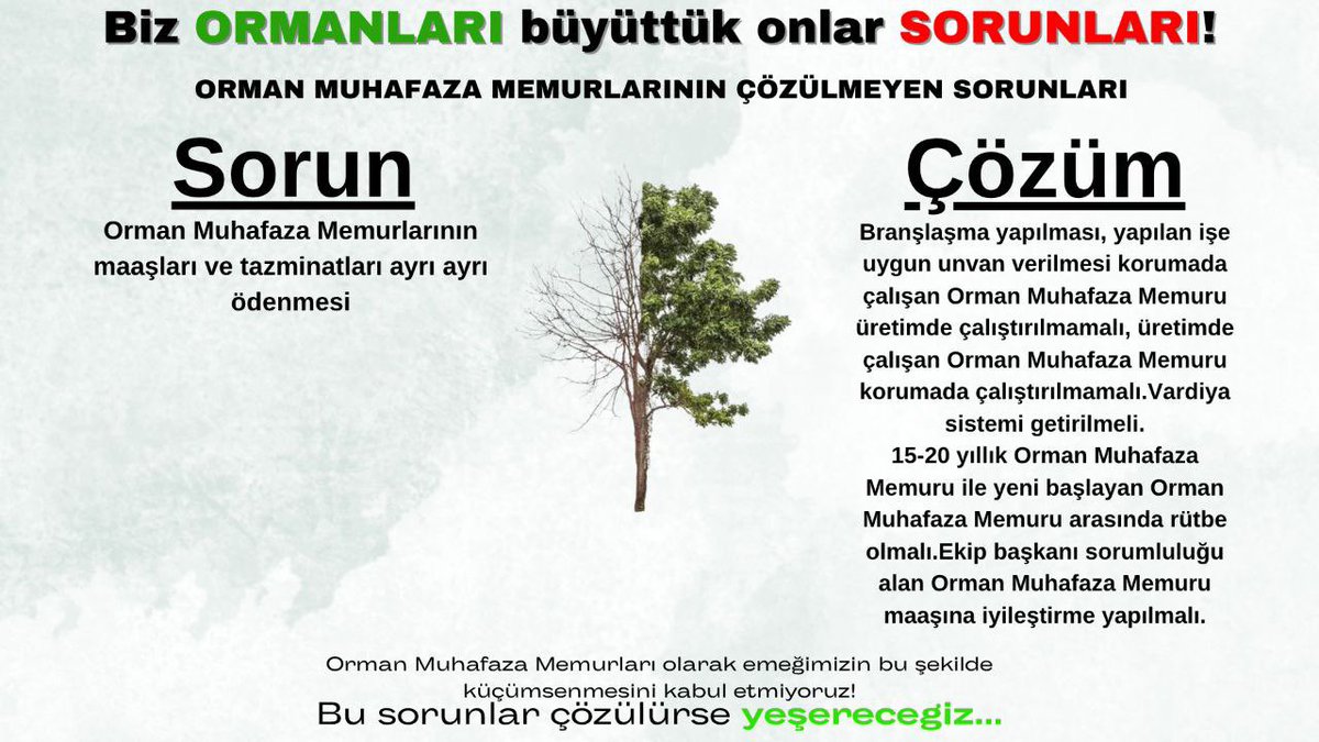 hamit_khrman's tweet photo. @cuneytozdemir #OrmancıSorunları https://t.co/kzSsWLk4Qh