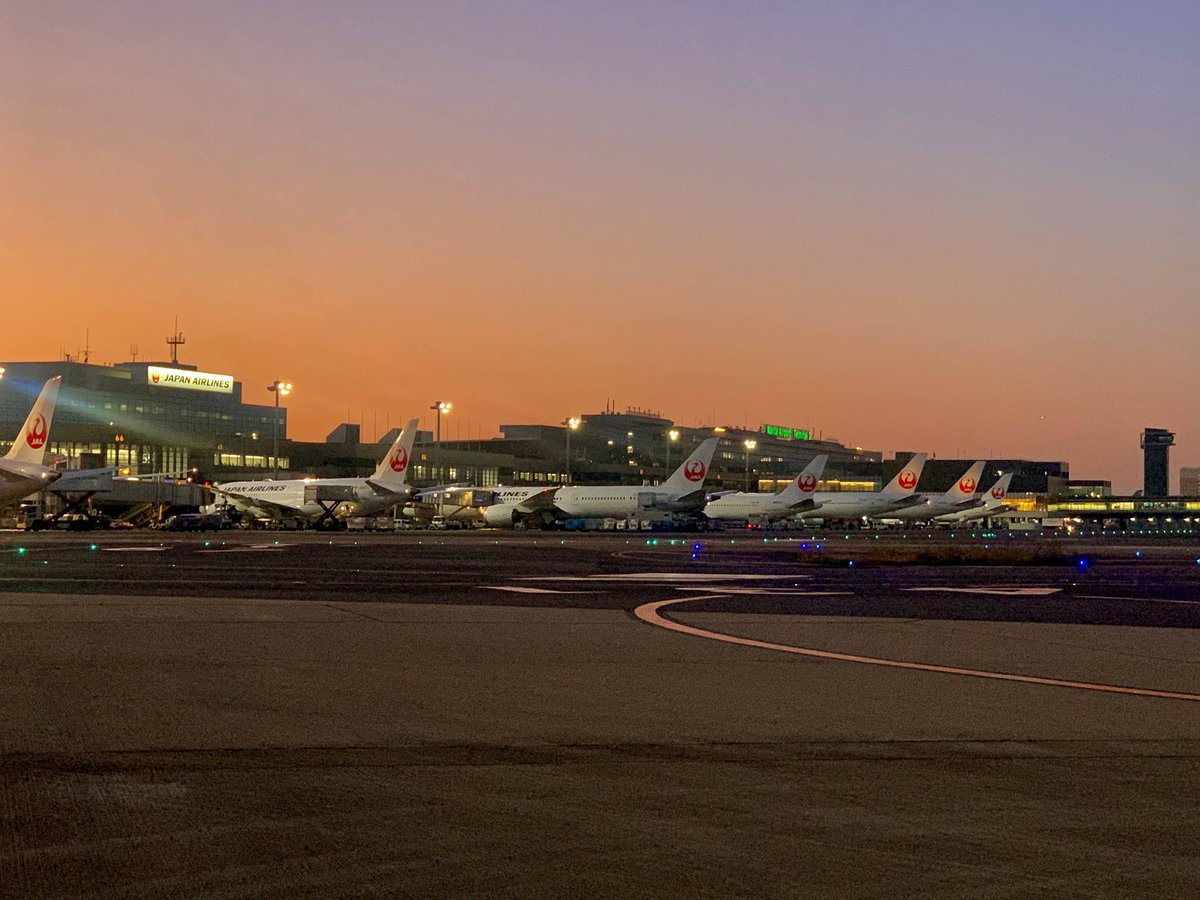 NRT_TOUR_INFO's tweet photo. 【普段は立ち入ることの出来ない成田空港非公開エリアをバスで巡る！成田空港スペシャルバスツアー✈️🚎発売開始📣】

✅実施日
・8月：22日(金)･23日(土)・24日(日)

詳しくは下記URLをチェック😉
https://t.co/AIr3YrNc3Q

#成田空港スペシャルバスツアー https://t.co/i9uZLbqTqs