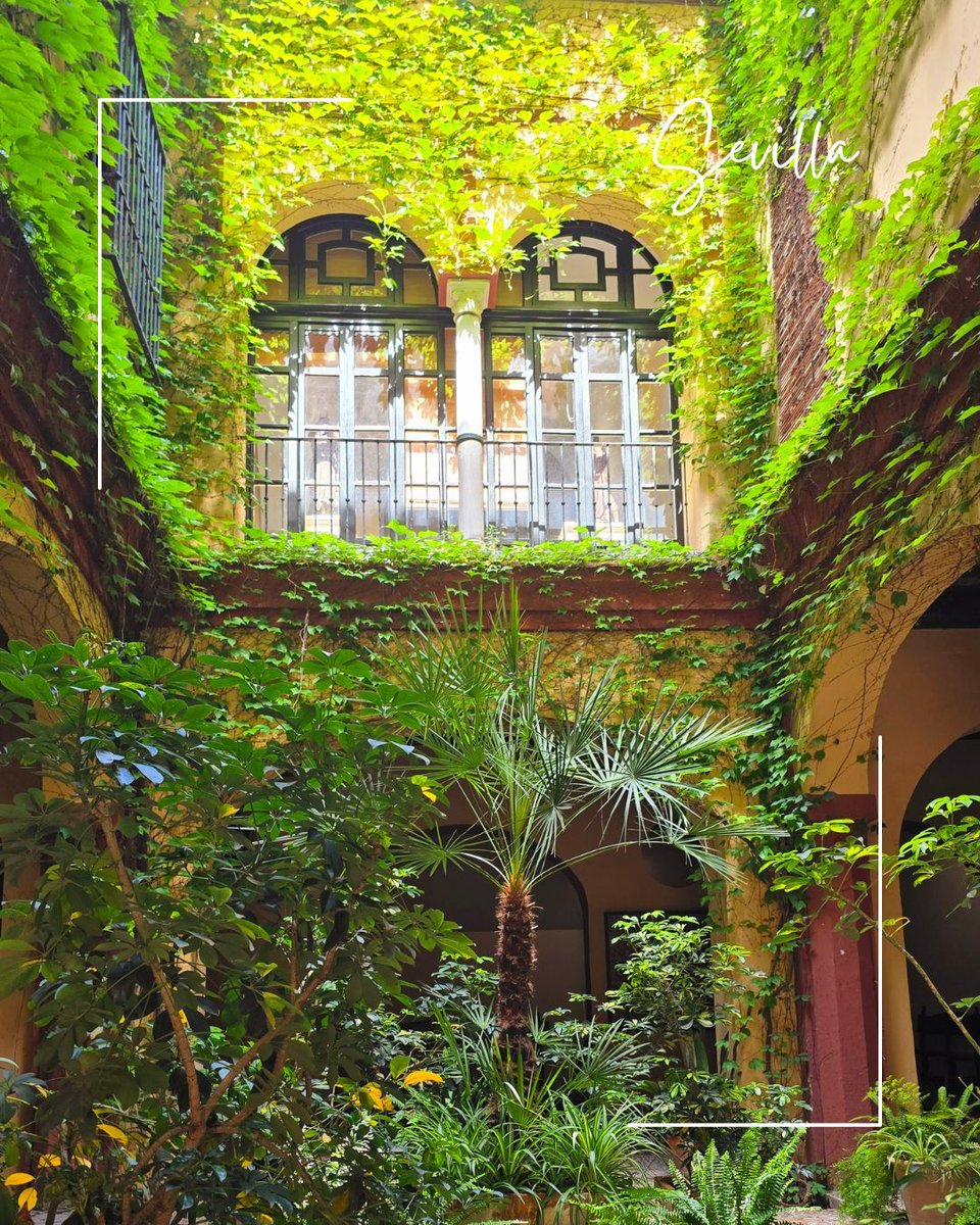 PiValenciaa's tweet photo. Staying in Valencia for a while and craving a quick getaway? ✈️

Seville is just 1 hour by plane or 5 hours by train, nice for a weekend escape!

#Sevilla #spain #erasmus #lifeabroad #citytrip https://t.co/Oc4uoJHrha