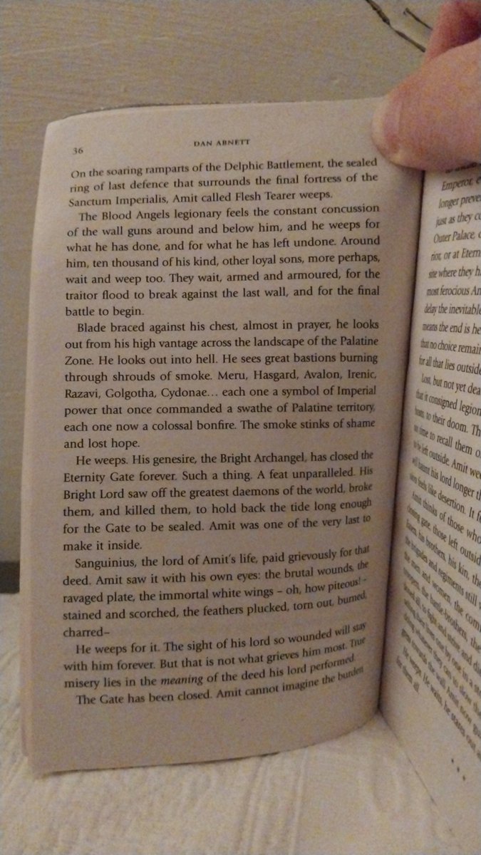 Skyking🇦🇺 tweet media