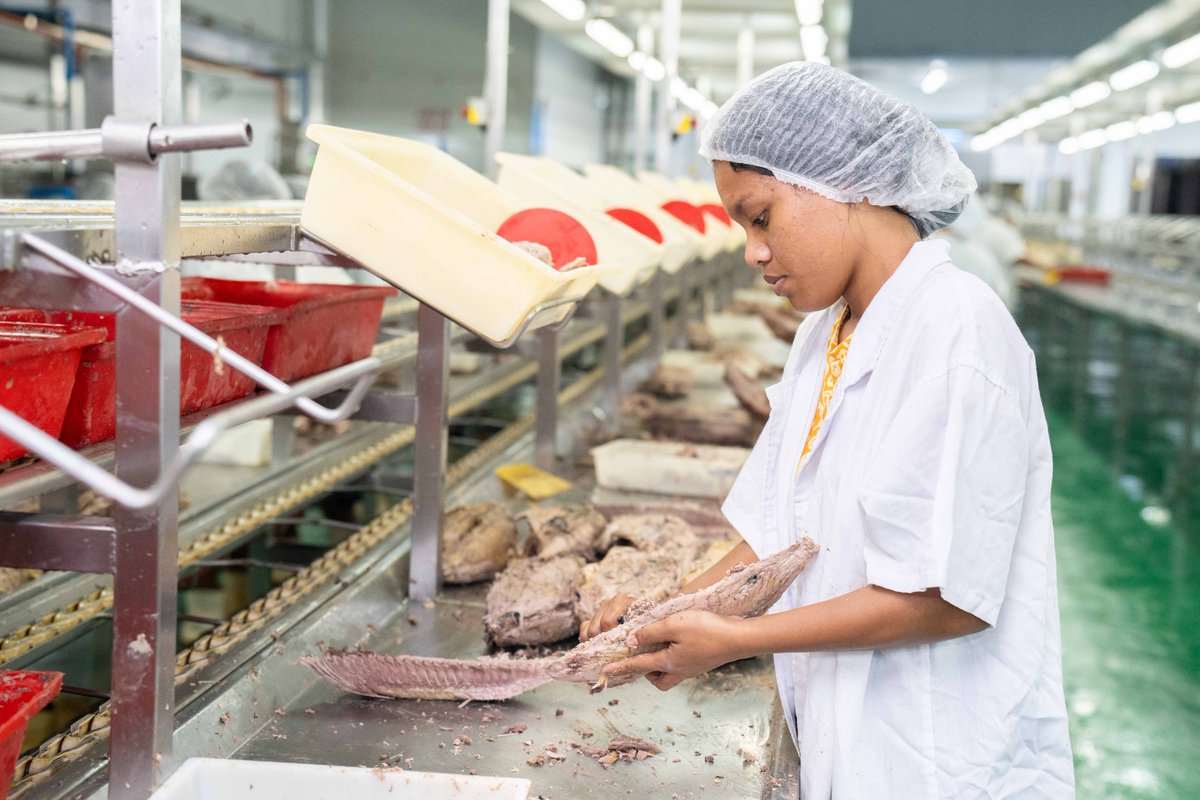 #FISH4ACP at #UNOC on financing fisheries and aquaculture 🎣
Investing in Marshall Islands supports culture deeply rooted in taking care of the ocean
Matthew Walsh, EU Mission Restore Our Ocean &amp; Waters
🔗bit.ly/4dMwata
#WeAreTheOcean <a href="/EU_Partnerships/">EU International Partnerships 🇪🇺</a> <a href="/BMZ_Bund/">Bundesentwicklungsministerium</a> <a href="/PressACP/">OACPS Secretariat</a>