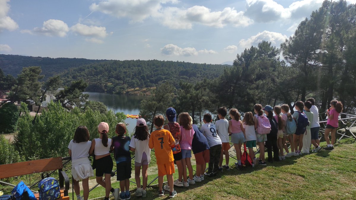 IvanHBST tweet media